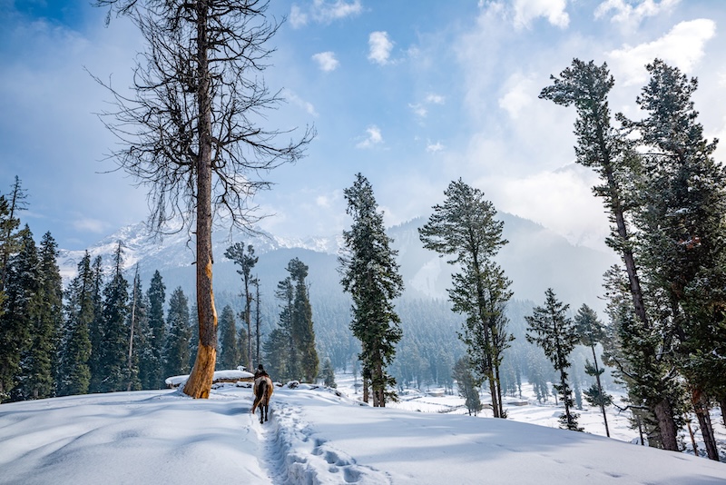 Top 10 Best Snow Destinations in Kashmir: Winter Wonders!