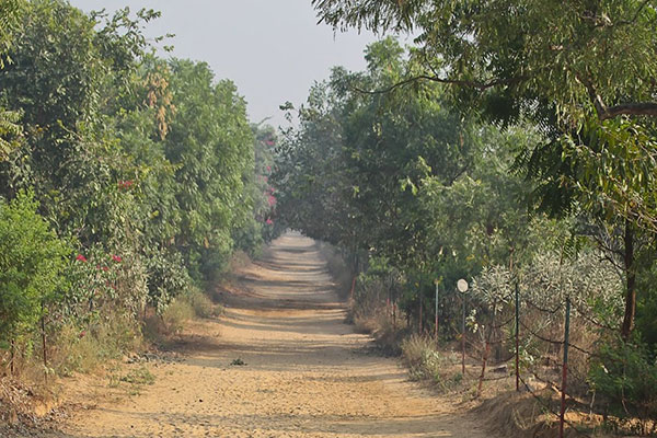 Best Time Visit Govardhan
