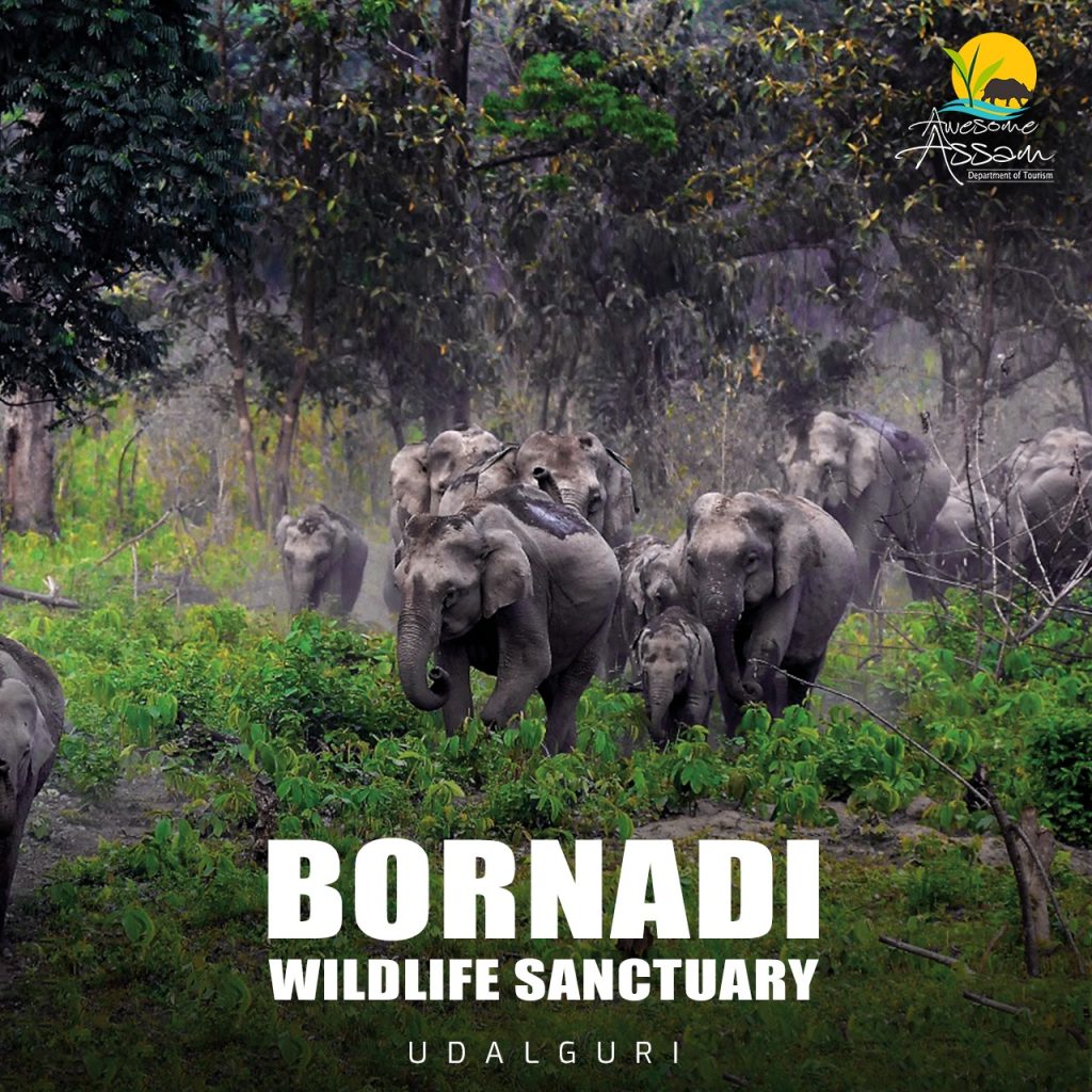 Bornadi Wildlife Sanctuary