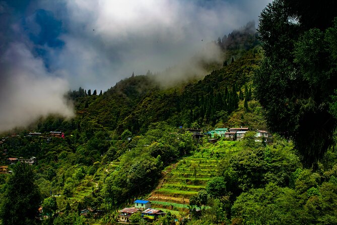 Darjeeling Hills Tour