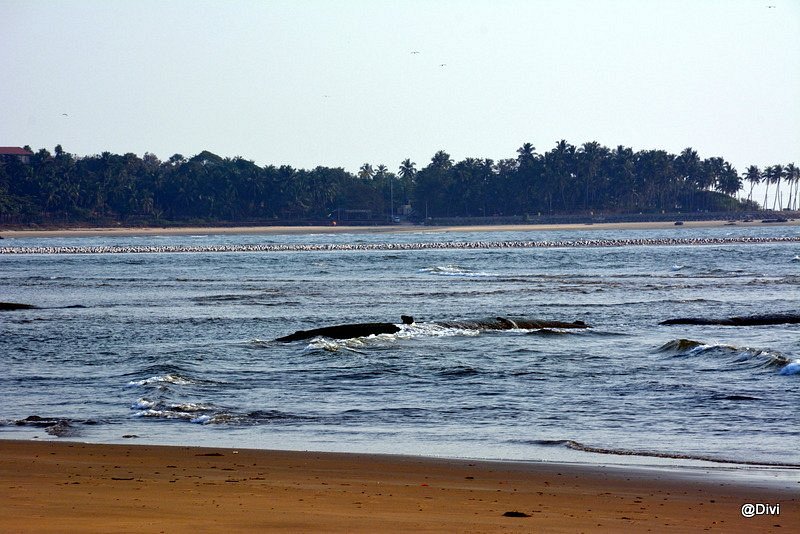 Devbagh Beach