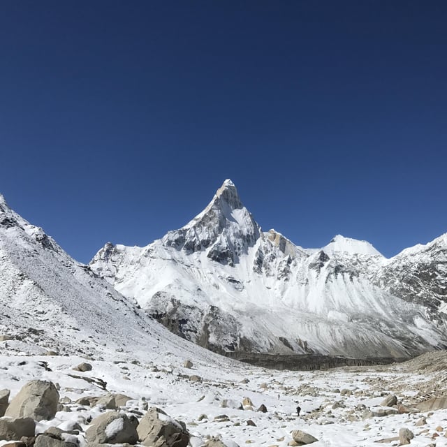 Gangotri Nandavan Trek