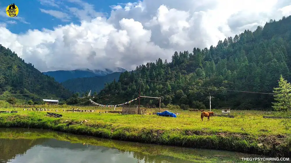 Sangti Valley