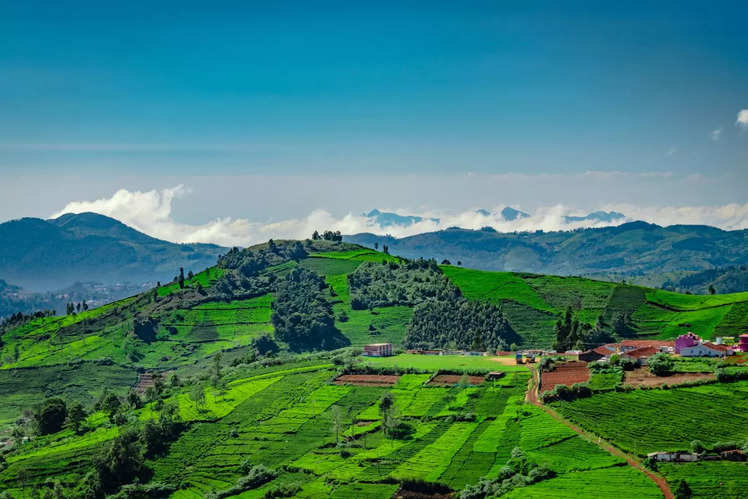 South India Hill Stations Tour