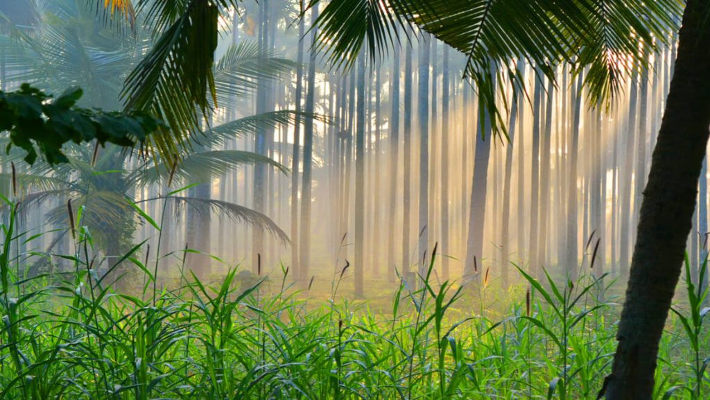 Top Weekend Getaways From Goa For Couples