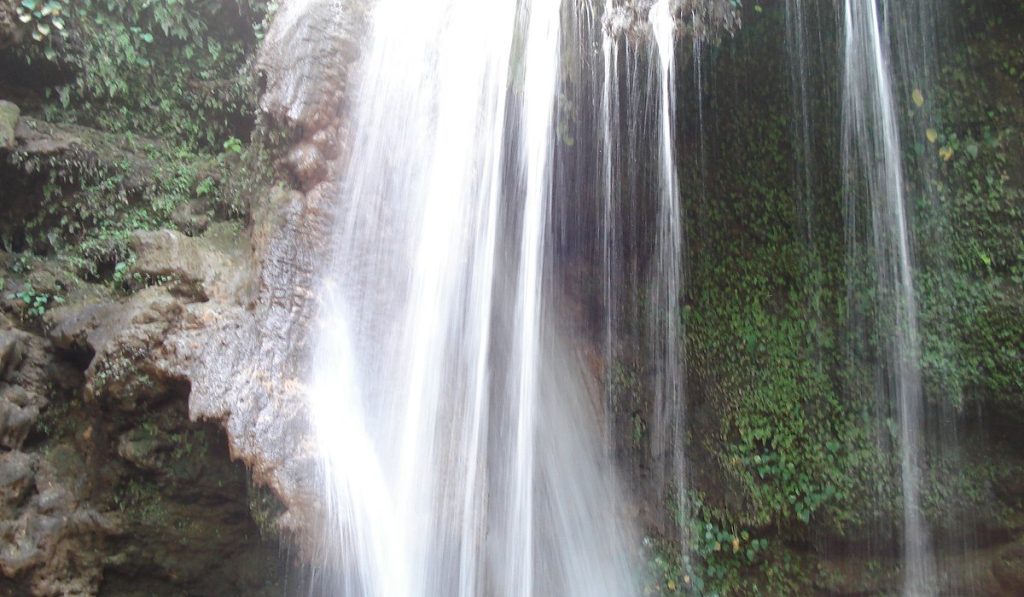 Why To Visit Corbett